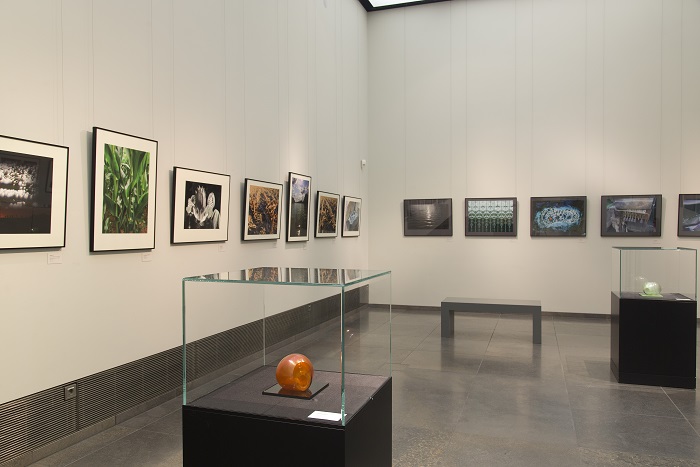 Blick in den Galerieraum, im Raum stehen Vitrinen mit Objekten, an den Wänden hängen Fotografien