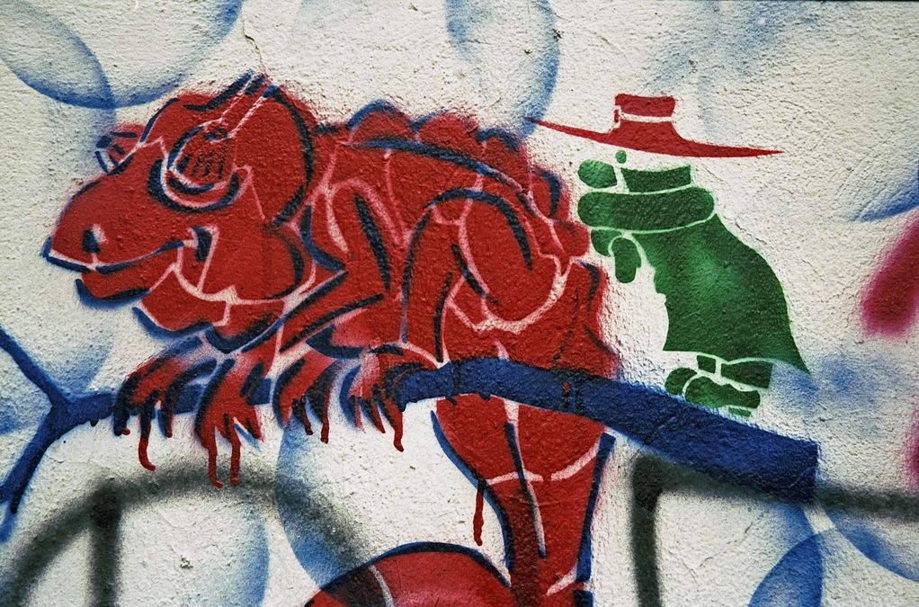 zur Vergrößerungsansicht des Bildes: Farbige Schablonenkunst, die ein rotes Chamäleon zeigt, an Hauswand