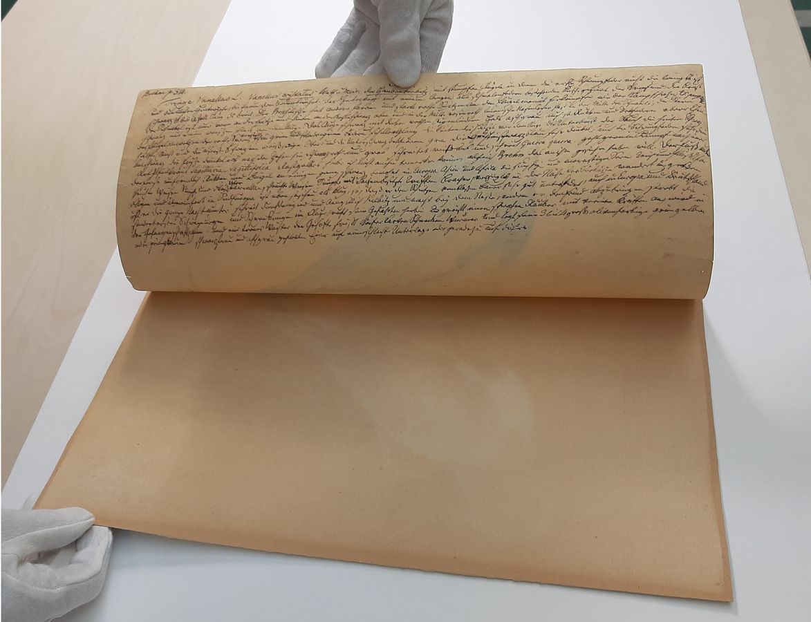 Einblick in die Papierschriften im Rahmen der Durchsicht zum Nachlass des Naturforschers Tilesius von Tilenau.